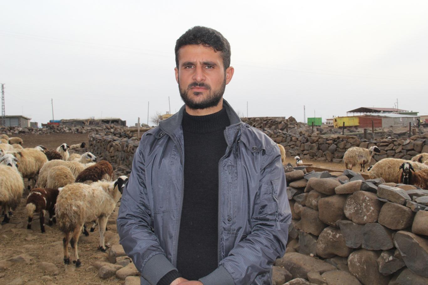 Baharın müjdecisi kuzular doğuyor Baharın müjdecisi kuzular doğuyor
